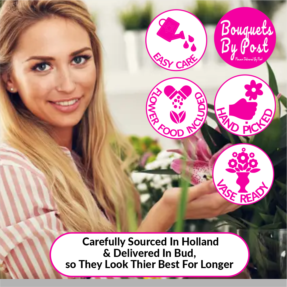 A Gerbera Special Daisy Bouquet